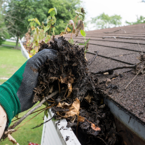 DRI Perk: Gutter Cleaning