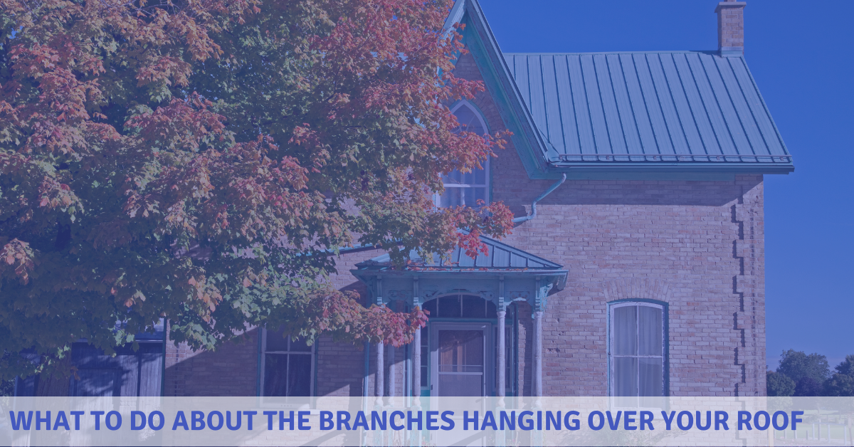What to Do About the Branches Hanging Over Your Roof Dales Roofing, Inc.