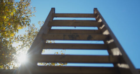 Ladder going toward the sky to inspect for roof damage